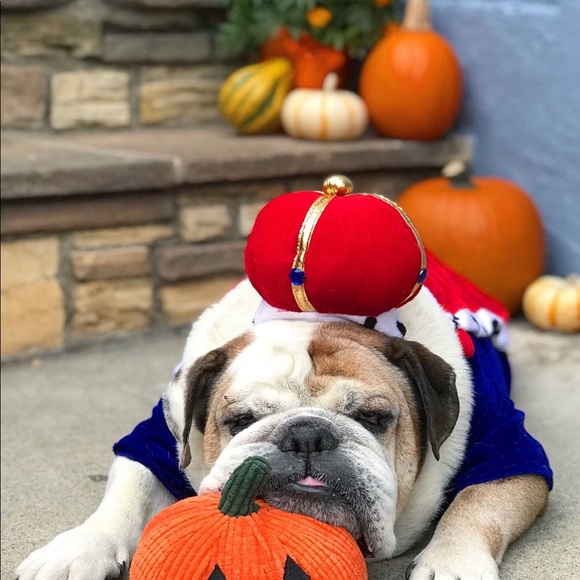 @StyledbyReah on the gram ❤️ - Picture 6 of 8